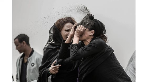 Die Nominierten 2020