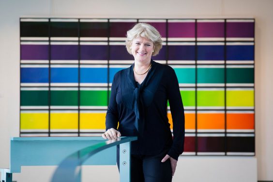 Experten legen Konzept vor