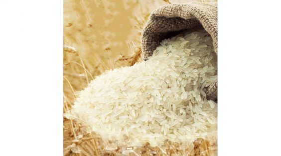 COVID-19 und die Fotoindustrie