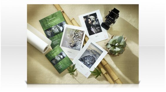 Hahnemühle Natural Line – „Bestes Inkjet Foto Papier“