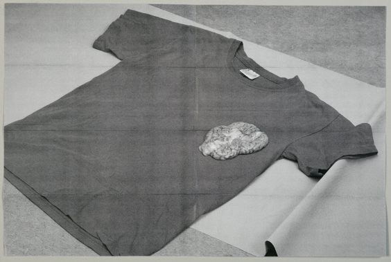 Fotografische Sammlung erweitert