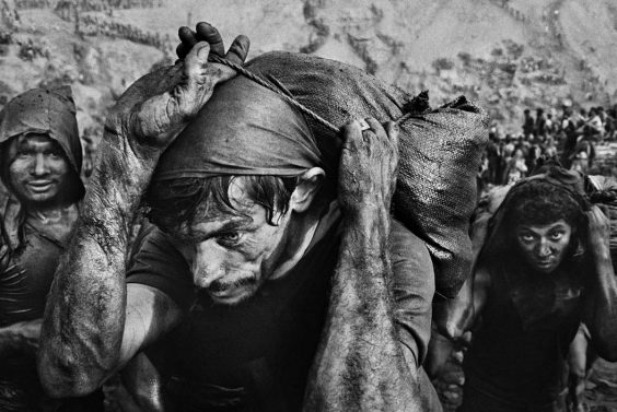 Salgado im Live Talk