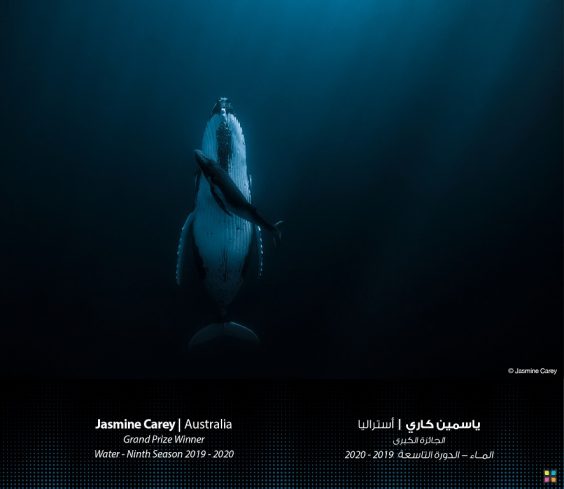 Gewinner der 9. Staffel