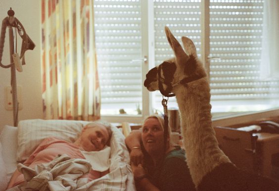 „Mensch – Arbeit – Alter“