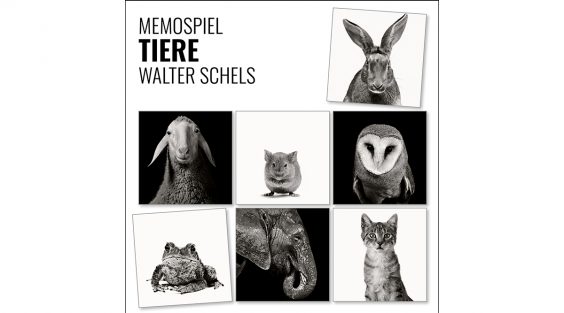 Kleine Formate – große Fotokunst!