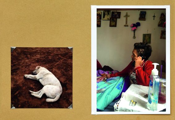 Bildungspreis für VISTO BUENO