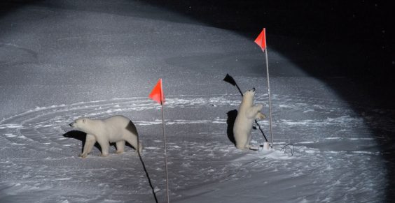 Positionen der Umweltfotografie