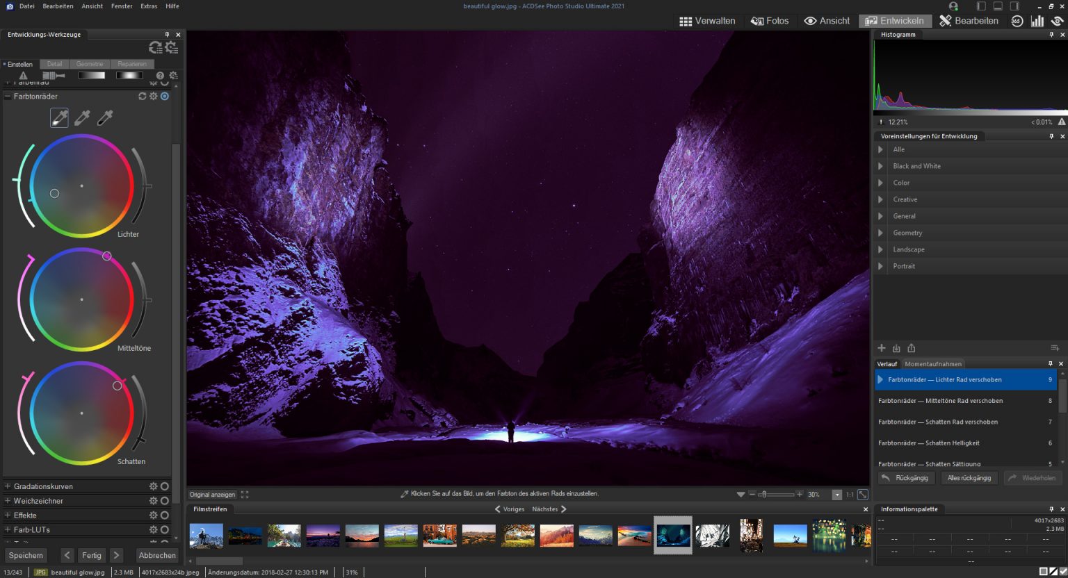 ACDSee Photo Studio 2021 ProfiFoto