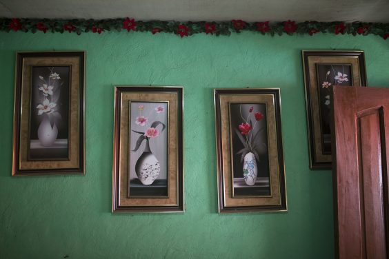 The Many Wives of Mr. ______