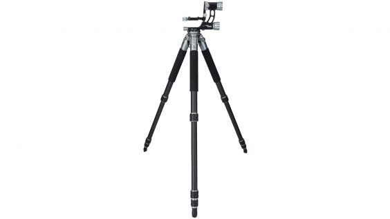 Lion Rock Gimbalkopf M