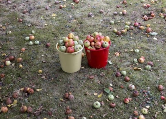 `Zuhause´ – Runde 5