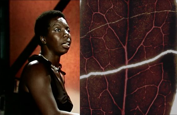 RAY 2021 – IDEOLOGIEN