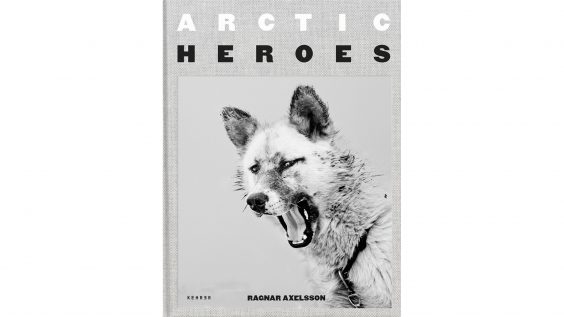 Arctic Heroes