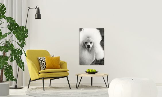 Großformate in Schwarzweiß