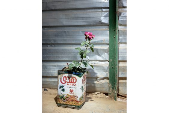 „A house is a house is a house“