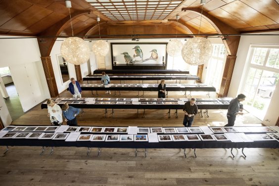 Fotografen aus 95 Ländern