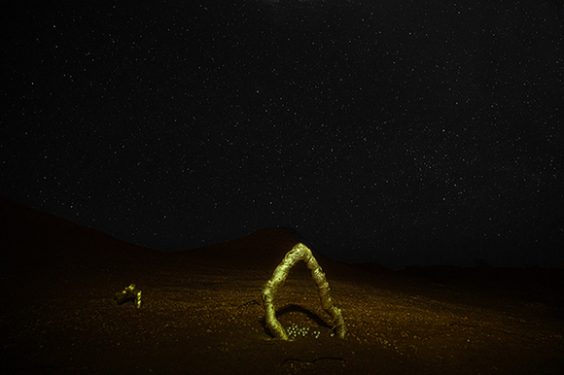 Preisträgerinnen SICHTBAR 2021