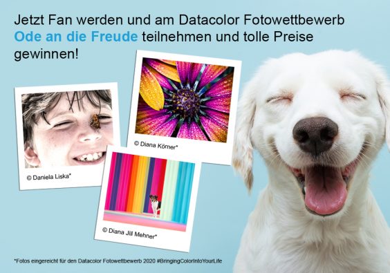 „Ode an die Freude“