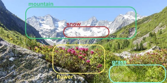 Automatisierte Bilderkennung