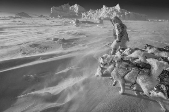 Fotoherbst in Zingst