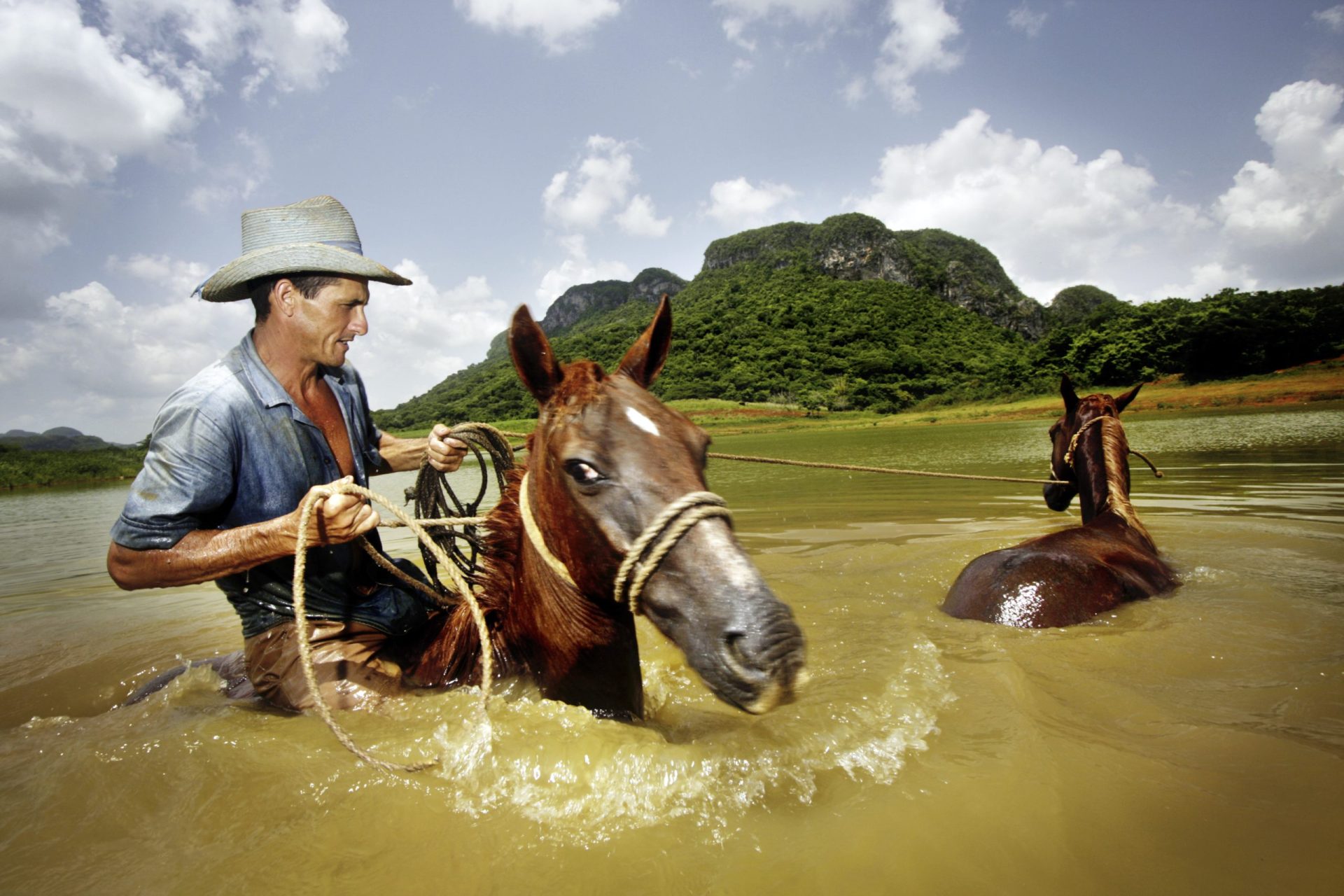 "El Norte", Cowboy und Farmer der Familienfinca Nuñez, mit zwei Pferden zur Abkühlung im See. Valle de Vinales, Provinz Pinar del Rio| Bildquelle: © Sven Creutzmann | Bilder sind in der Regel urheberrechtlich geschützt