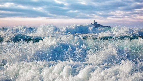 „Landschaft – Natur – Kultur“