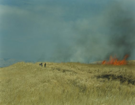 Preis für Herausragende Leistungen