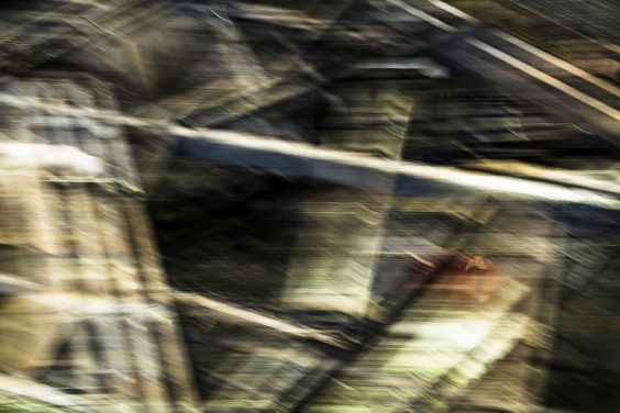 Götz Schleser – „Föderal“