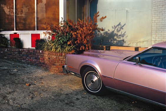 WILLIAM EGGLESTON – MYSTERY OF THE ORDINARY