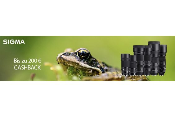 Wildlife Frühjahr 2023