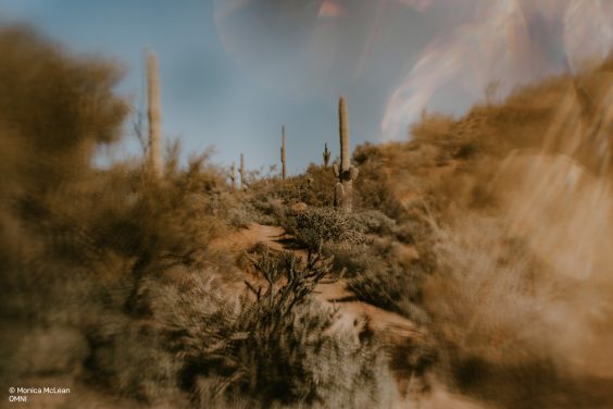 OMNI Universal Expansion Pack