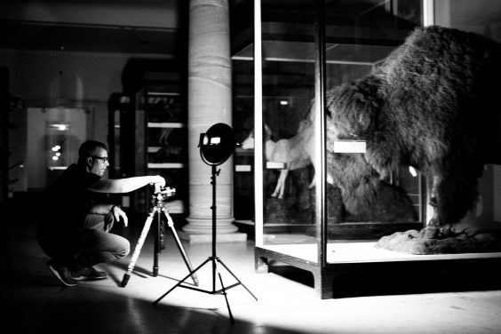 Florian W. Müller – Equilibrium