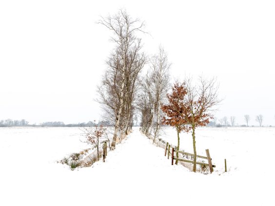 Jürgen Strasser – DIE KUNST DER LANDSCHAFT
