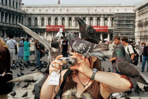 Martin Parr – PARRATHON