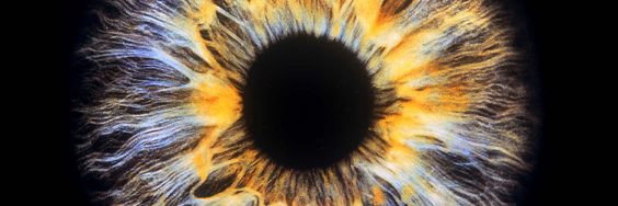 CEWE unterstützt OPEN YOUR EYES