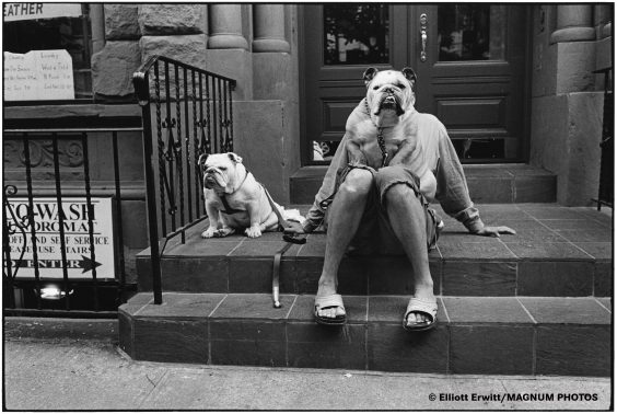 Elliott Erwitt – Hall of Fame Award