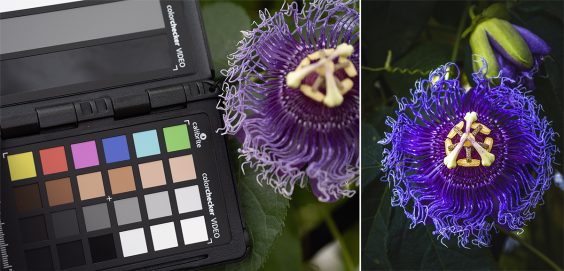 ColorChecker Passport Video 2