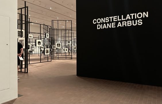 Das waren die Foto-Highlights 2023