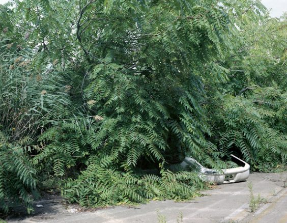 Franziska Klose erhält Fotostipendium