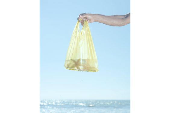 Fotofrühling in Zingst