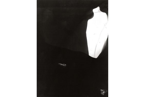 Eliška Bartek – Fotogramme