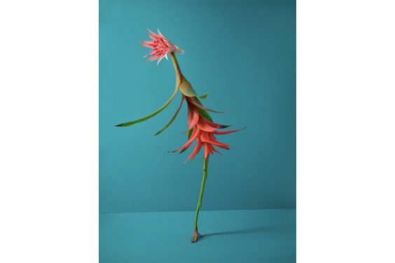 National Awards 2024