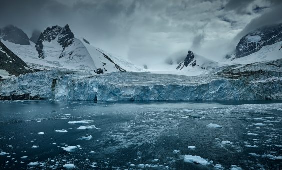 Die Essenz der Fotografie