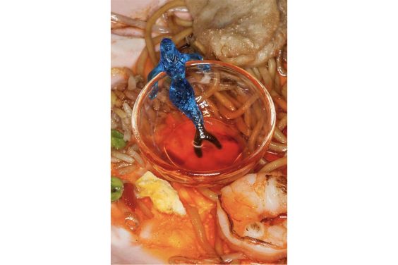 Maisie Cousins – SMORGASBORD