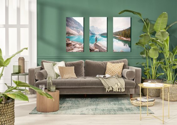 Für Fotos in der ersten Reihe