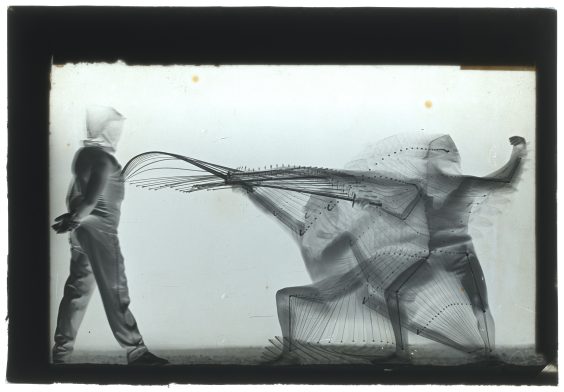 Muybridge & Marey – Stop-Motion