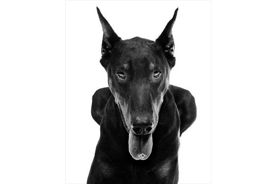 Walter Schels- TIERE