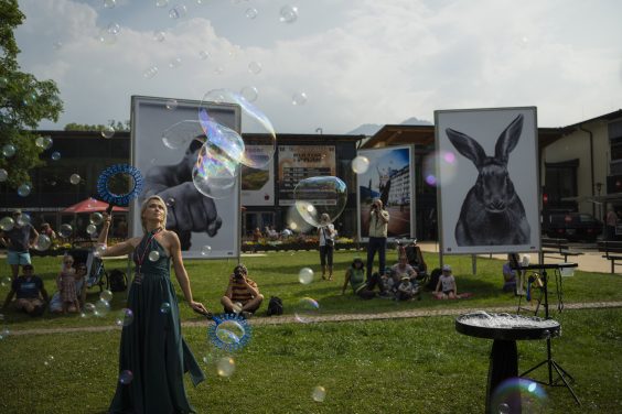 Highlights im Festivalprogramm