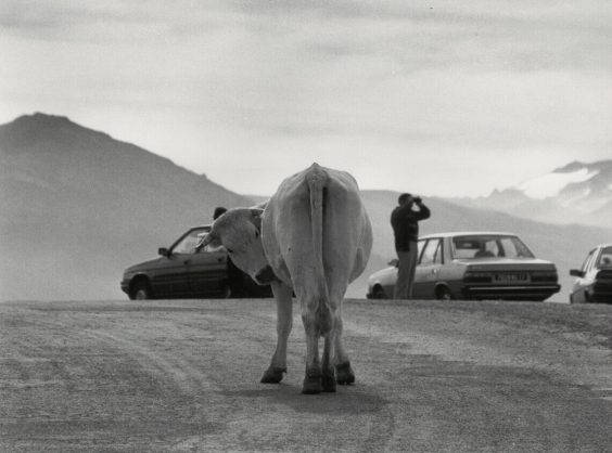 Archiv Werner Stuhler