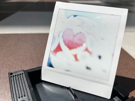 Werkschau der deutschen Sofortbild-Fotografie